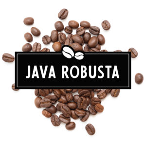 Java Robusta Cherry