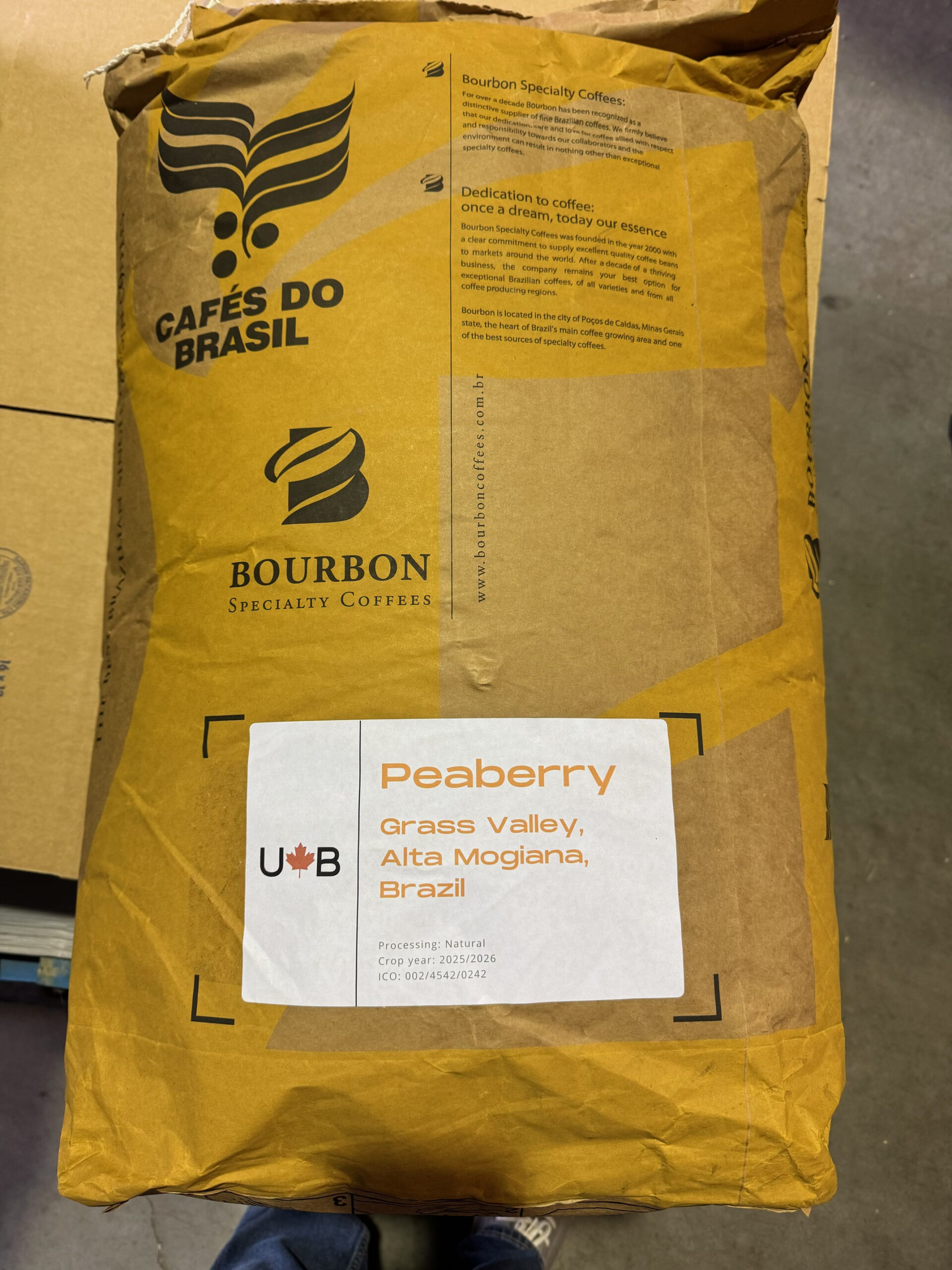 Brazil Peaberry - Image 2