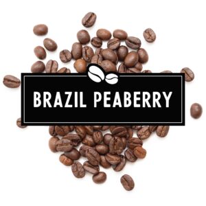 Brazil Peaberry